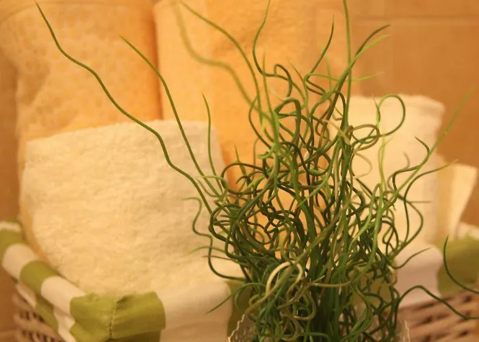 Babic Apartment Split